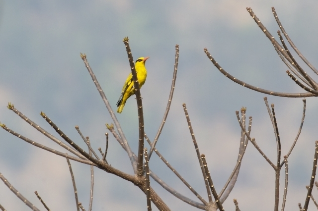 AZK_3889.jpg
