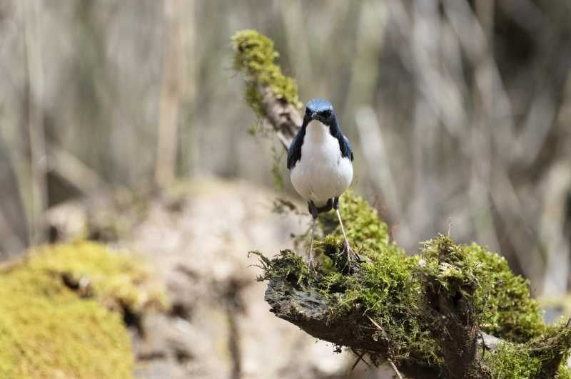 DSC_3068-az.jpg