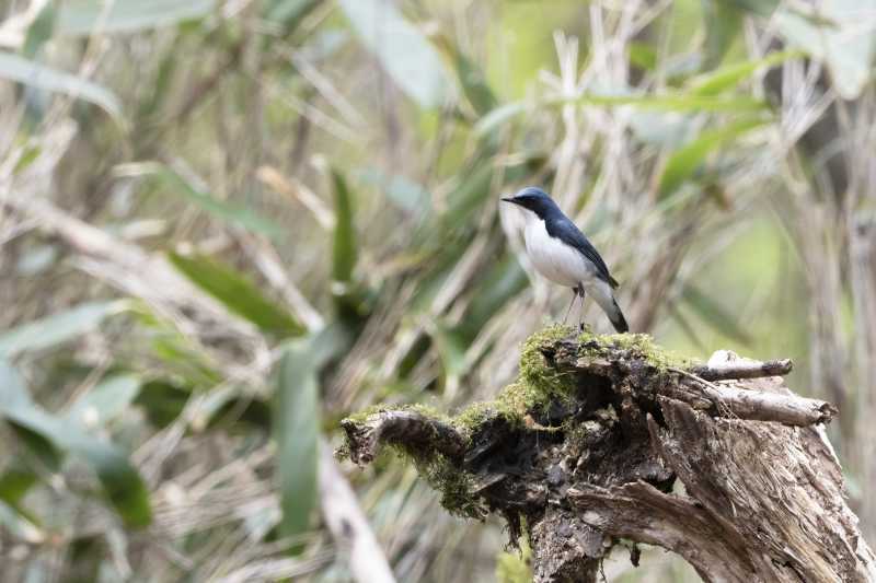 DSC_3482-az.jpg