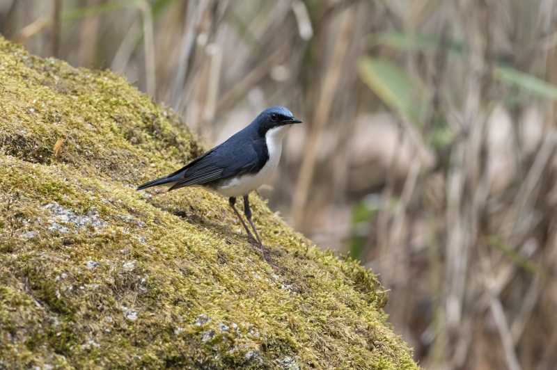 DSC_3576-az.jpg