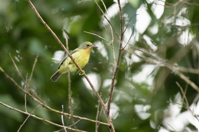 DSC_6152.jpg
