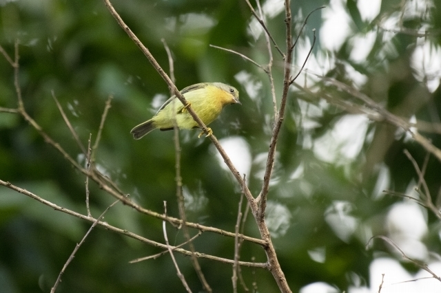 DSC_6165.jpg