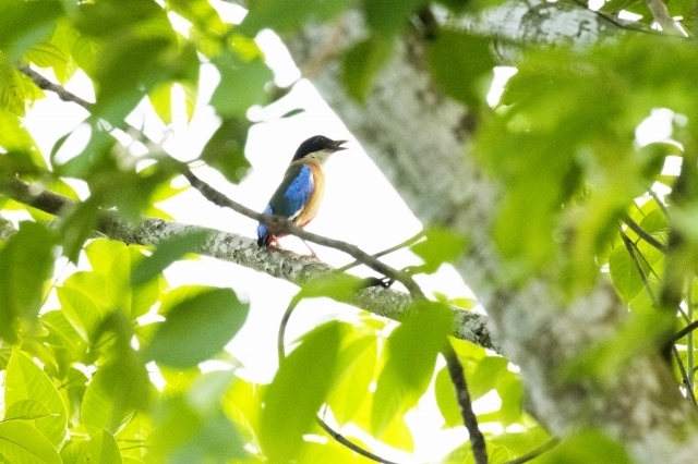 DSC_6214.jpg