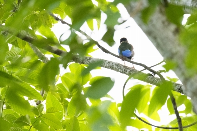 DSC_6220.jpg