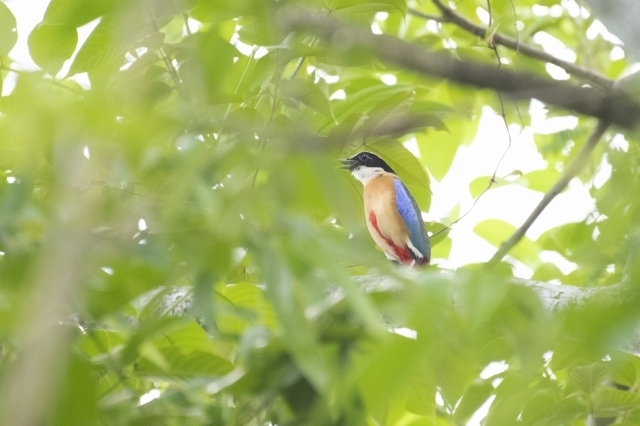 DSC_6305.jpg