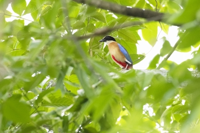 DSC_6316.jpg