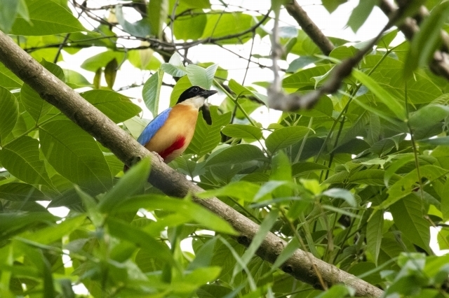 DSC_6397.jpg